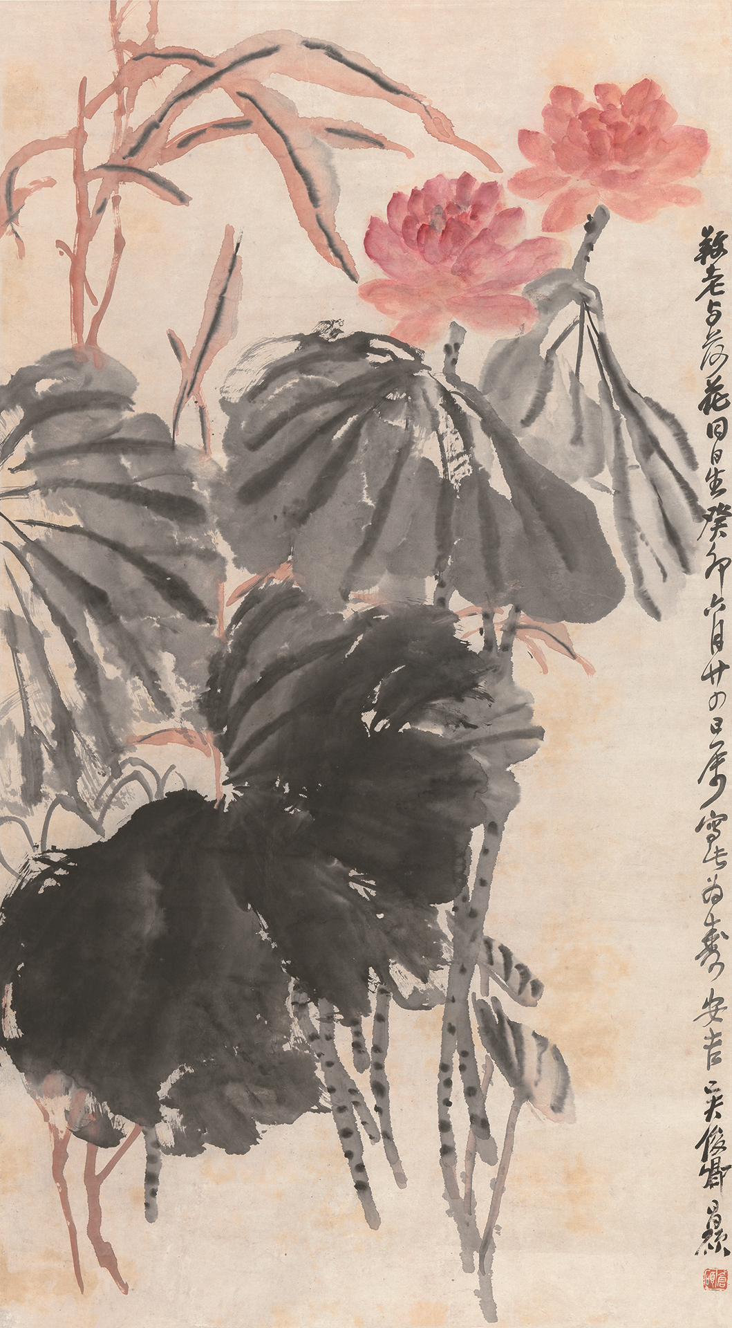 吴昌硕  花卉图 吴昌硕荷花
